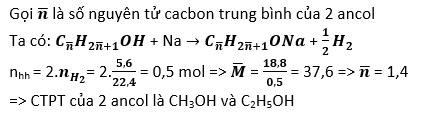 cac-dang-bai-tap-ancol-va-phuong-phap-giai-bai-tap