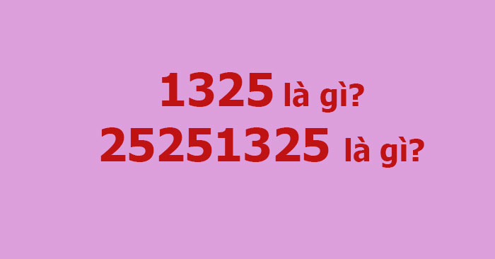 1325 là gì