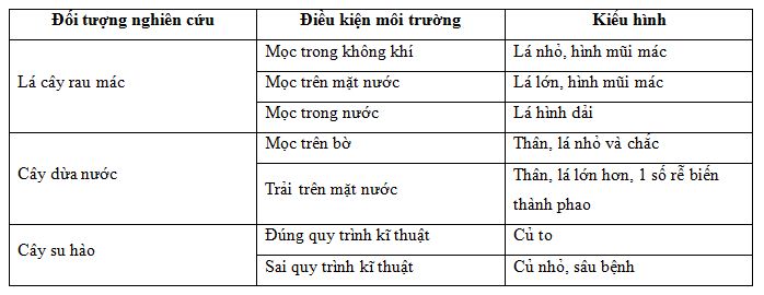 Thường biến là gì? Ví dụ về thường biến