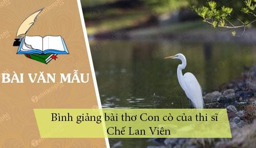 binh giang bai tho con co cua thi si che lan vien