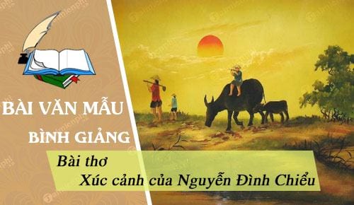 binh giang bai tho xuc canh cua nguyen dinh chieu