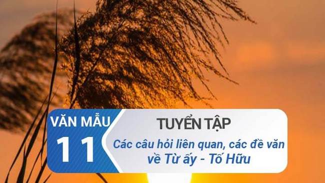 Các câu hỏi liên quan đến bài Từ ấy và Các đề văn về bài Từ ấy