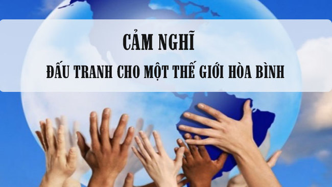 Cảm nghĩ về đấu tranh cho một thế giới hòa bình