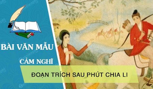 cam nghi ve doan trich sau phut chia li