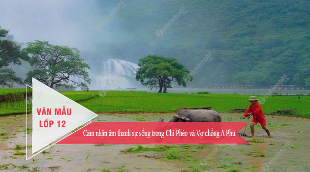 cam nhan am thanh su song trong chi pheo va vo chong a phu