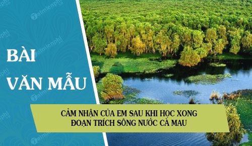 cam nhan cua em sau khi hoc xong doan trich song nuoc ca mau trong tac pham dat rung phuong nam cua nha van doan gioi