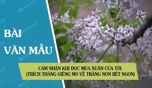 cam nhan khi doc mua xuan cua toi trich thang gieng mo ve trang non ret ngon cua vu bang