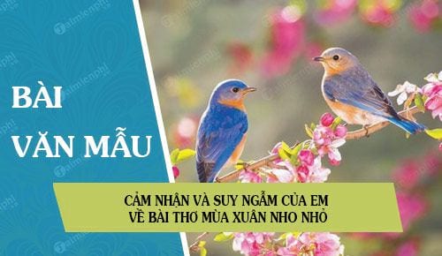 cam nhan va suy ngam cua em ve bai tho mua xuan nho nho