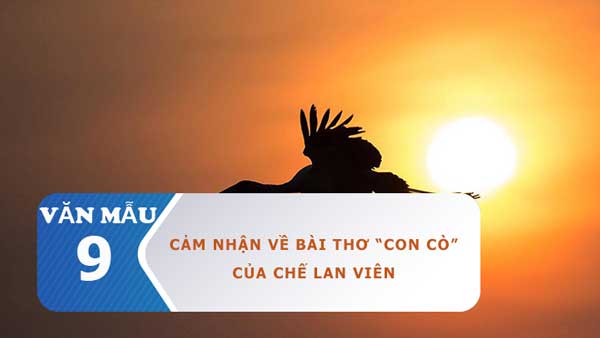 Cảm nhận về bài thơ Con cò của Chế Lan Viên