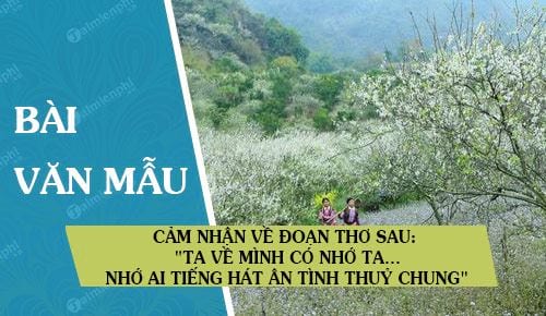 cam nhan ve doan tho sau ta ve minh co nho ta nho ai tieng hat an tinh thuy chung trong bai viet bac