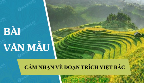 cam nhan ve doan trich trong bai tho viet bac