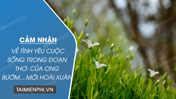 cam nhan ve tinh yeu cuoc song trong doan tho cua ong buom moi hoai xuan