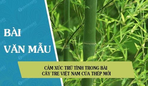 cam xuc tru tinh trong bai cay tre viet nam cua thep moi