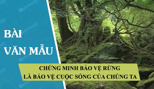 chung minh bao ve rung la bao ve cuoc song cua chung ta