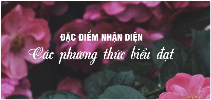 Đặc điểm nhận diện các phương thức biểu đạt bạn cần ghi nhớ