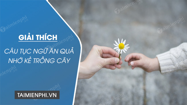 dan y giai thich cau tuc ngu an qua nho ke trong cay