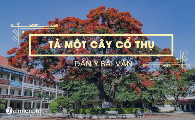 dan y ta mot cay co thu