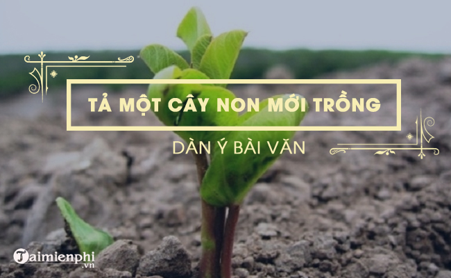 dan y ta mot cay non moi trong