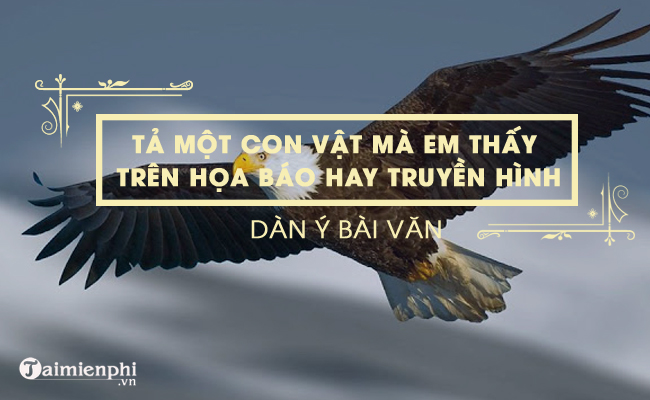 dan y ta mot con vat ma em thay tren hoa bao hay truyen hinh