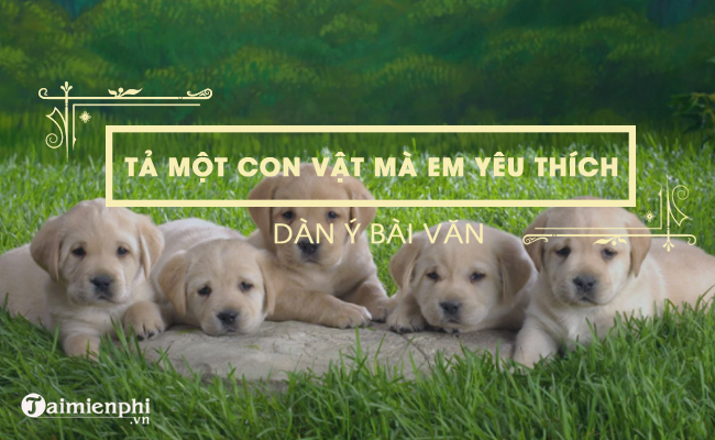 dan y ta mot con vat ma em yeu thich