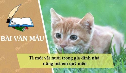 dan y ta mot vat nuoi trong gia dinh nha nong ma em quy men