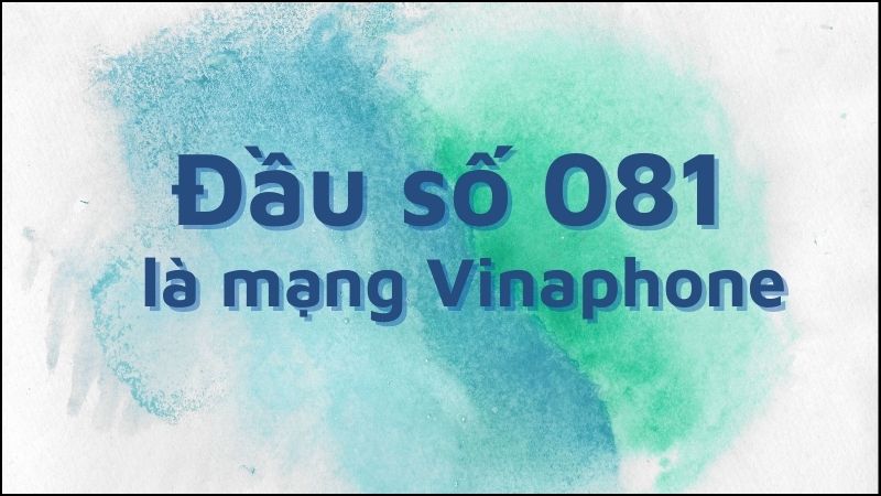 Đầu số 081 là mạng gì? Ý nghĩa của đầu số 081? Có phải số may mắn? -  Thegioididong.com