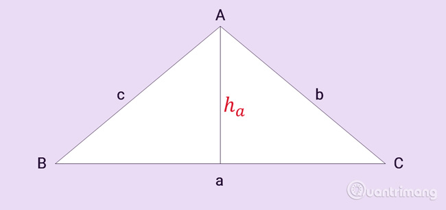 Để tính diện tích tam giác bạn cần xác định loại tam giác đó là gì
