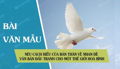 doan van neu cach hieu cua ban than ve nhan de van ban dau tranh cho mot the gioi hoa binh