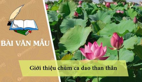 gioi thieu chum ca dao than than