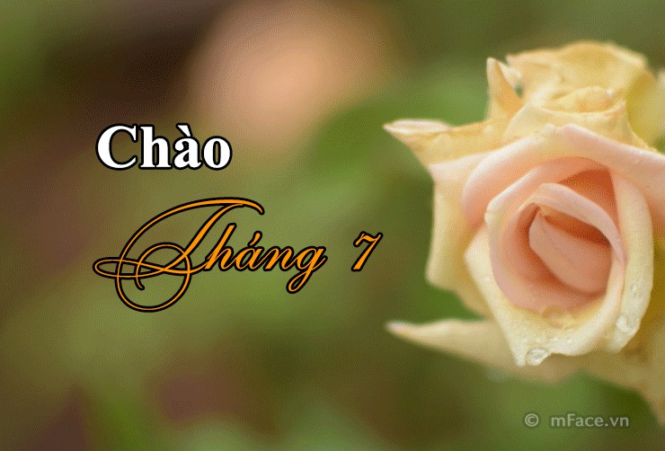 99+ Hình ảnh chào tháng 7 đẹp, Hình ảnh về tháng 7 - thcs ...