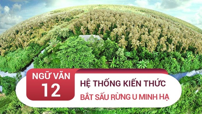 Kiến thức bài Bắt sấu rừng U Minh Hạ - Sơn Nam