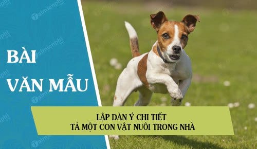 lap dan y chi tiet ta mot con vat nuoi trong nha