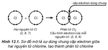 Tóm tắt lý thuyết Hóa học 10 Kết nối tri thức Bài 12