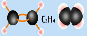 mô hình cấu tạo phân tử của Etilen C2H4