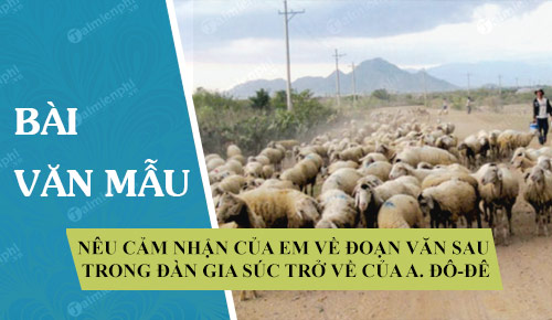 neu cam nhan cua em ve doan van sau trong dan gia suc tro ve cua a do de