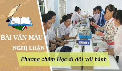 nghi luan bay to y kien cua minh ve phuong cham hoc di doi voi hanh