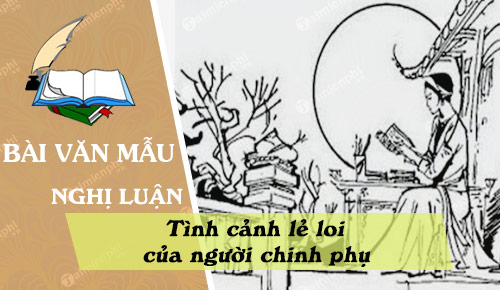 nghi luan ve tinh canh le loi cua nguoi chinh phu