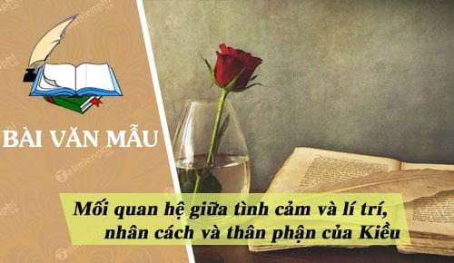 nhan xet ve moi quan he giua tinh cam va li tri nhan cach va than phan cua kieu trong doan trao duyen