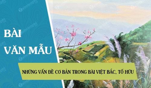 nhung van de co ban trong bai viet bac to huu