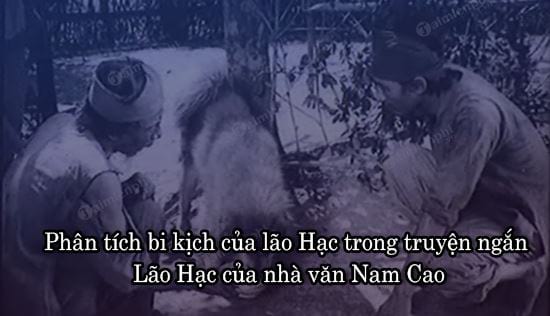 phan tich bi kich cua lao hac trong truyen ngan lao hac cua nha van nam cao