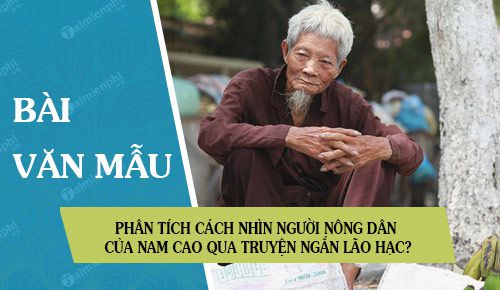 phan-tich-cach-nhin-nguoi-nong-dan-cua-nam-cao-qua-truyen-ngan-lao-hac phan tich cach nhin nguoi nong dan cua nam cao qua truyen ngan lao hac