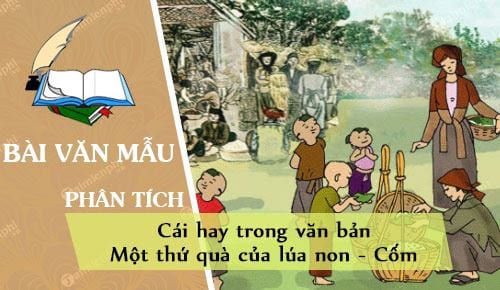 phan tich cai hay trong van ban mot thu qua cua lua non com