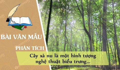 phan tich de lam ro nhan dinh cay xa nu la mot hinh tuong nghe thuat bieu trung