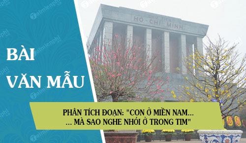 phan tich doan tho sau con o mien nam ra tham lang bac ma sao nghe nhoi o trong tim