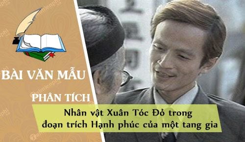 phan tich nhan vat xuan toc do trong doan trich hanh phuc cua mot tang gia