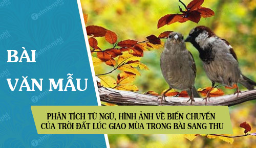 phan tich tu ngu hinh anh ve bien chuyen cua troi dat luc giao mua trong bai sang thu