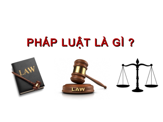 HAVIP】Bản chất của pháp luật là gì? | Luật Havip