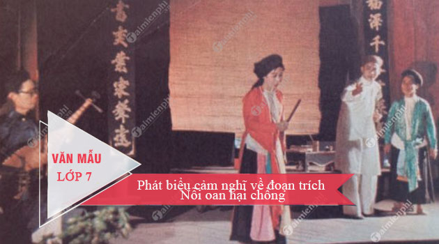 phat bieu cam nghi ve doan trich noi oan hai chong