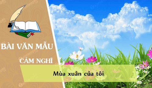 phat bieu cam nghi ve van ban mua xuan cua toi