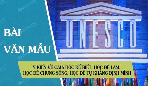 phat bieu y kien ve muc dich hoc tap do unesco de xuong hoc de biet hoc de lam hoc de chung song hoc de tu khang dinh minh